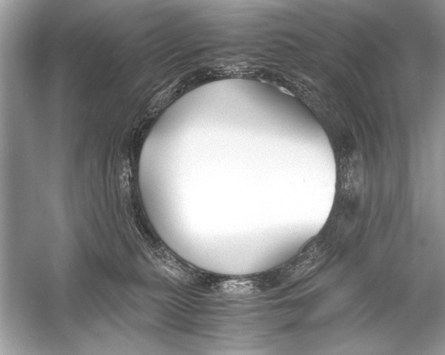 X0000055980279200509162233