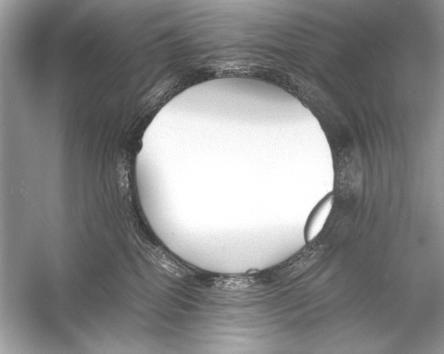 X0000055980282200509162233