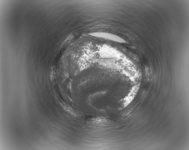 X0000055980284200509162233