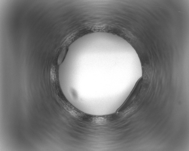 X0000055980287200509162233