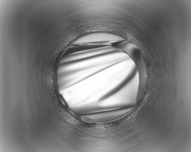 X0000055980305200509162232