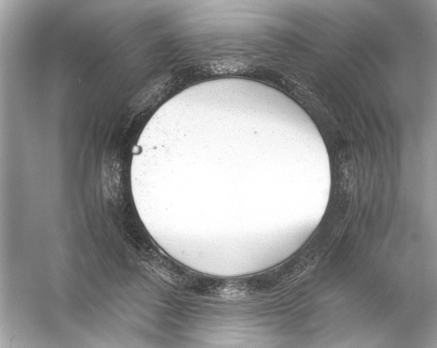 X0000055980308200509162232