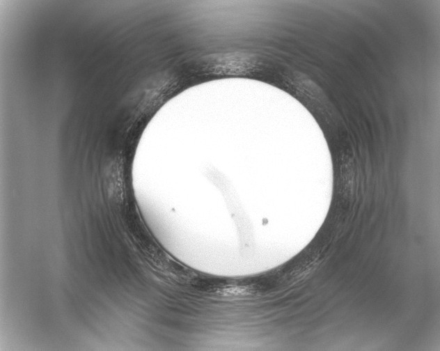 X0000055980312200509162232