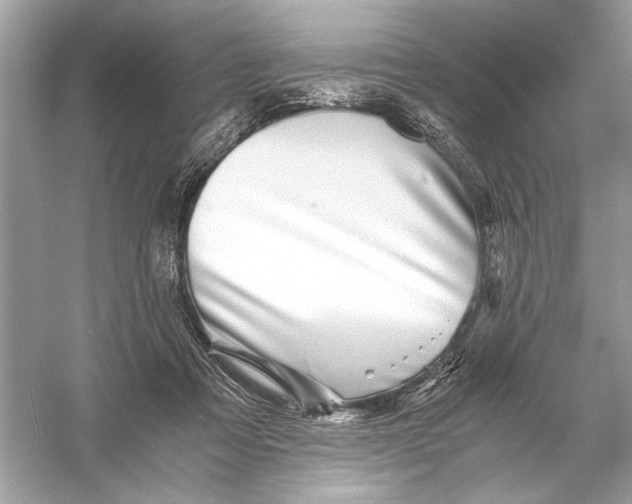 X0000055980313200509162232