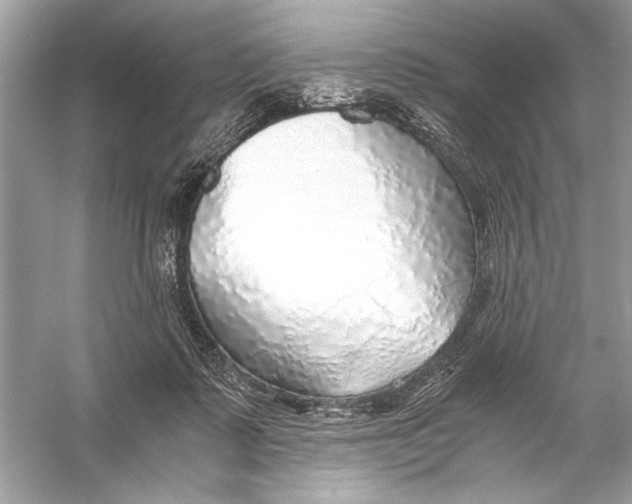 X0000055980315200509162232