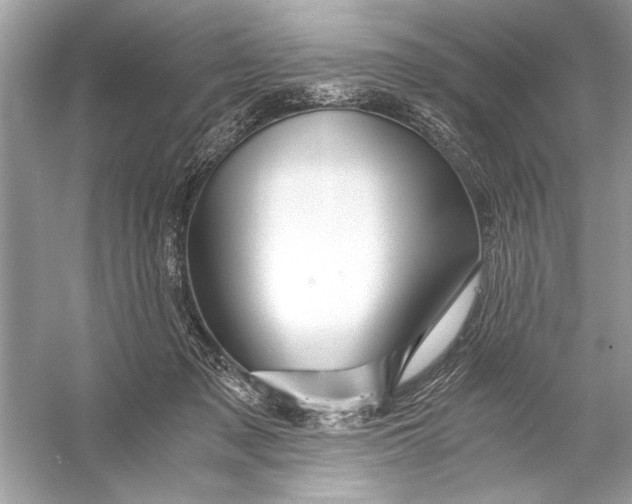 X0000055980317200509162232
