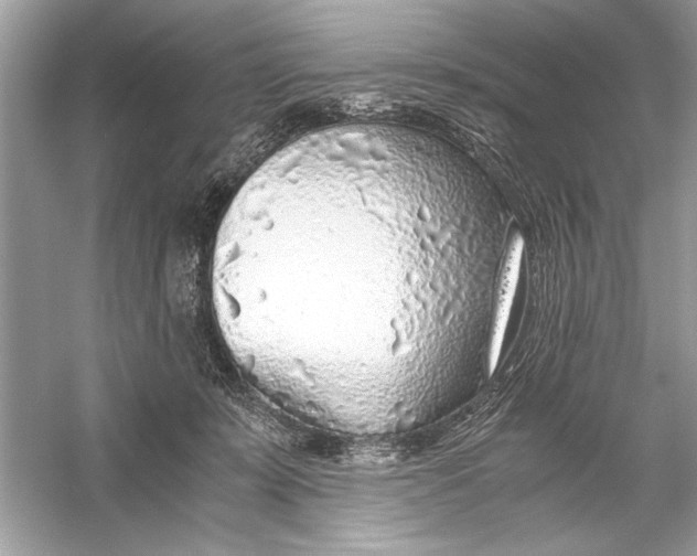 X0000055980319200509162232