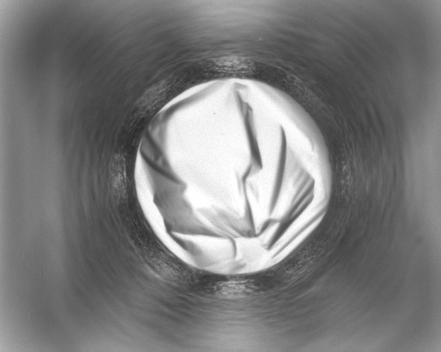 X0000055980320200509162232