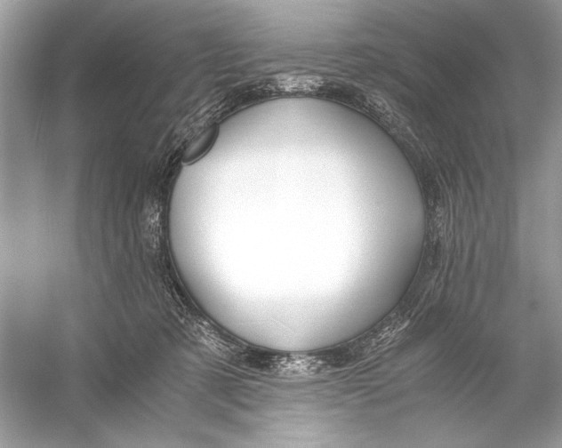X0000055980321200509162232