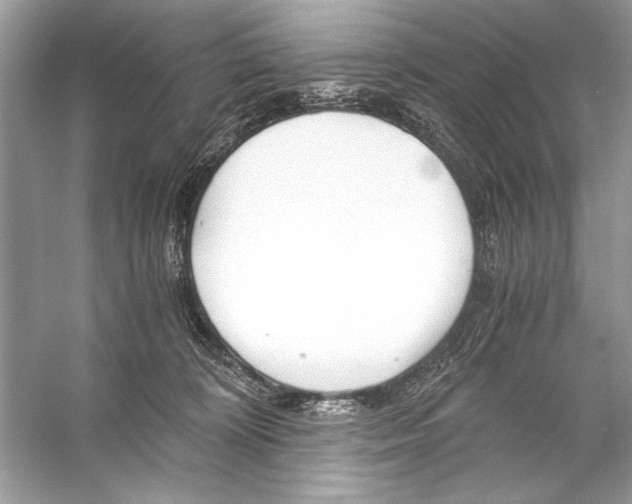 X0000055980324200509162232