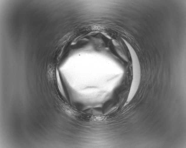 X0000055980329200509162232