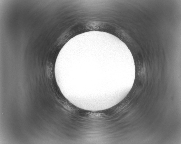 X0000055980332200509162232