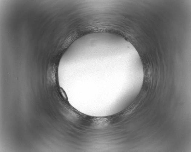 X0000055980334200509162232