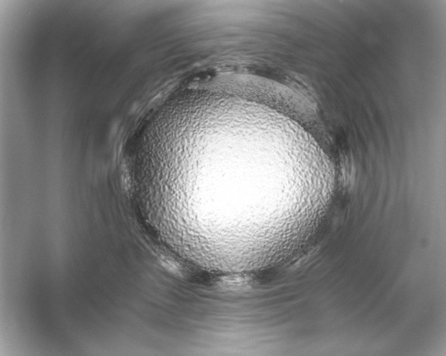 X0000055980335200509162232