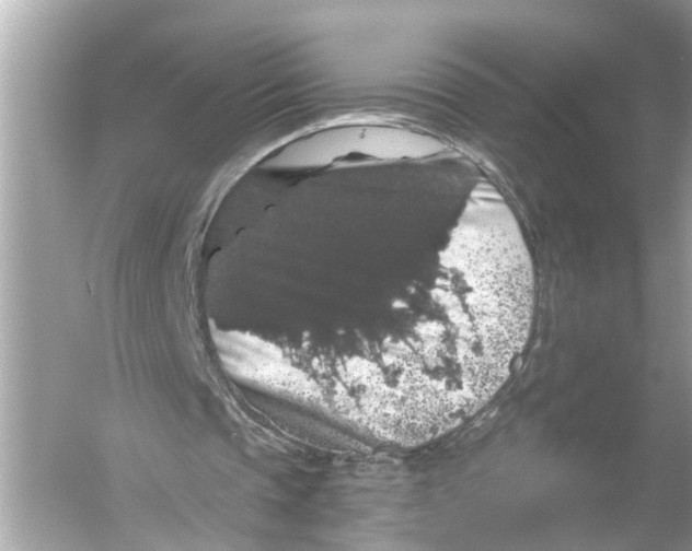 X0000055980337200509162231