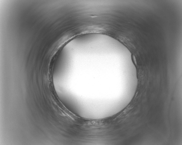 X0000055980338200509162231