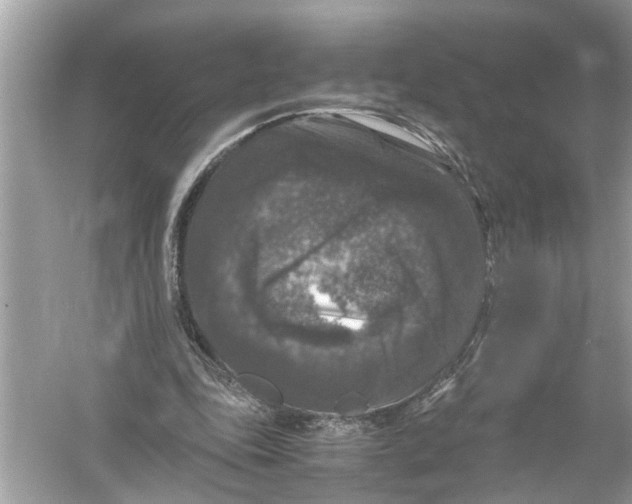 X0000055980343200509162231