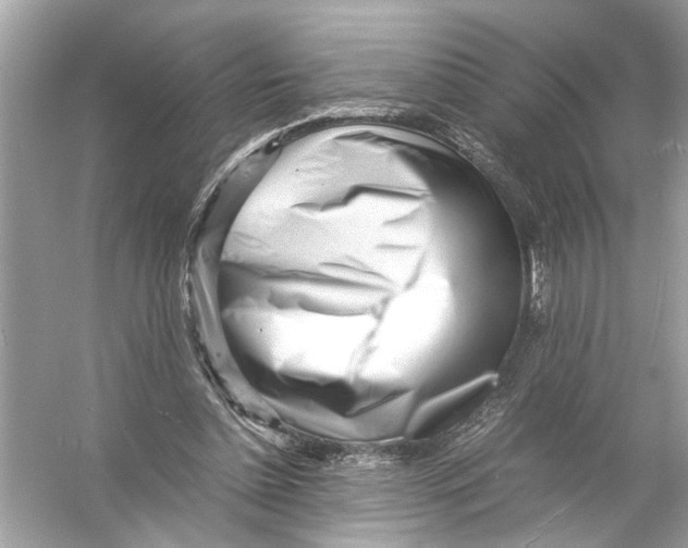 X0000055980348200509162231