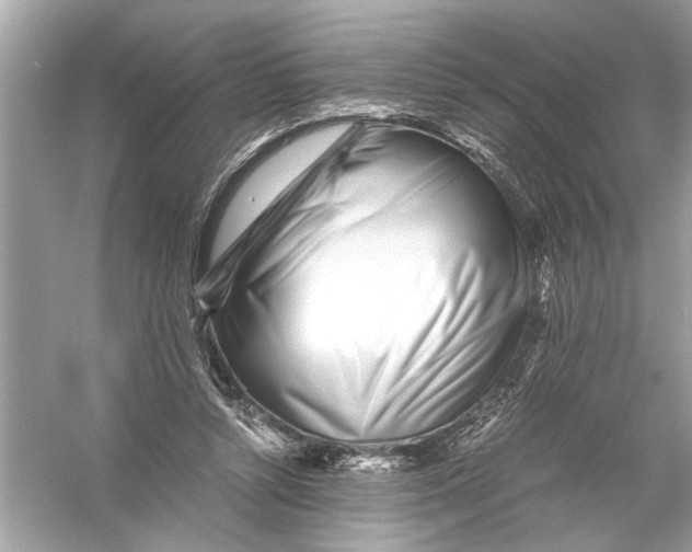 X0000055980352200509162231