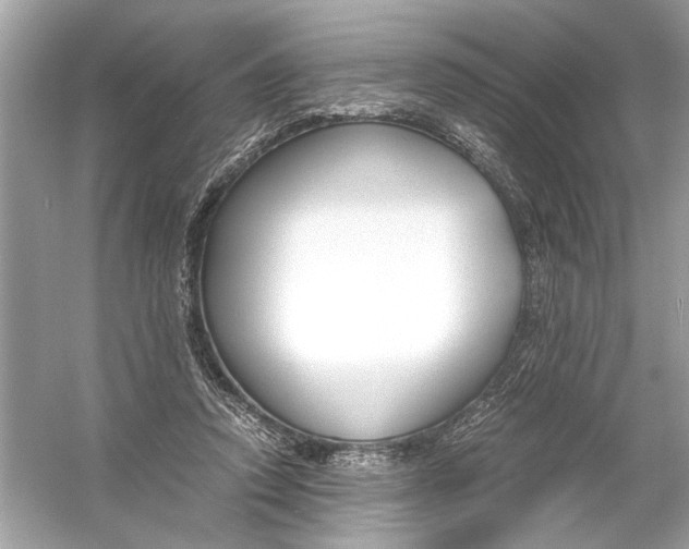 X0000055980354200509162231