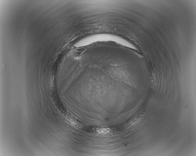 X0000055980355200509162231