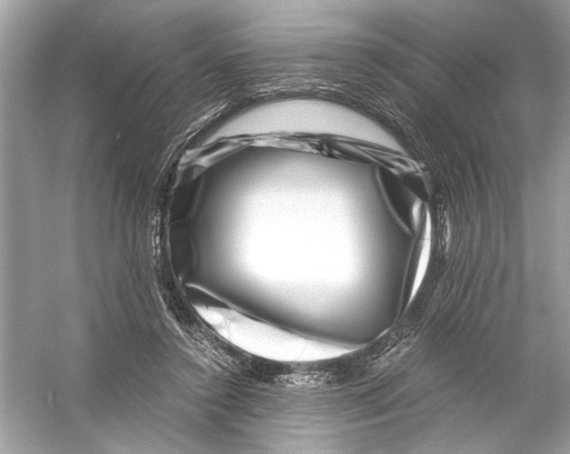 X0000055980356200509162231