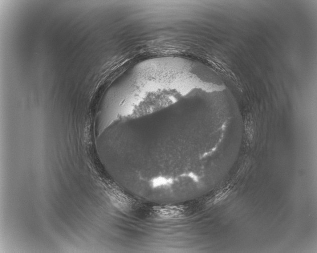 X0000055980359200509162231