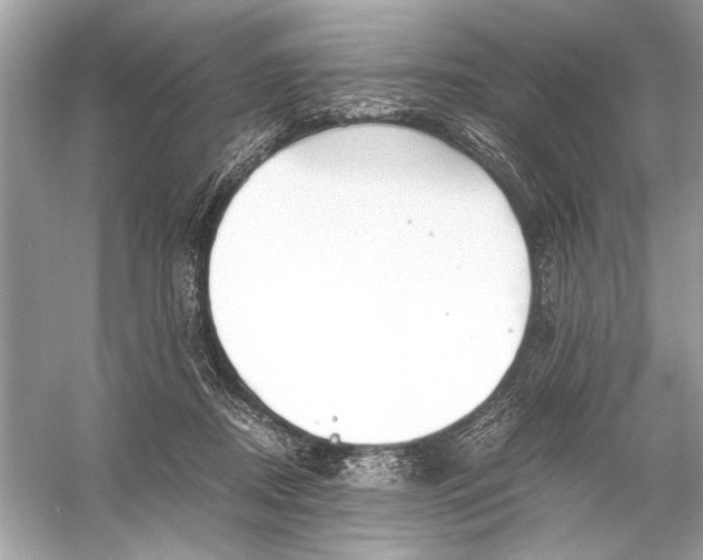 X0000055980362200509162231