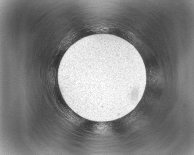 X0000055980370200509162231