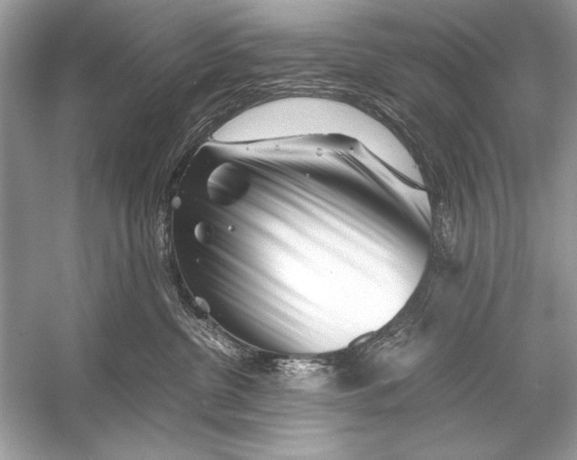 X0000055980380200509162232