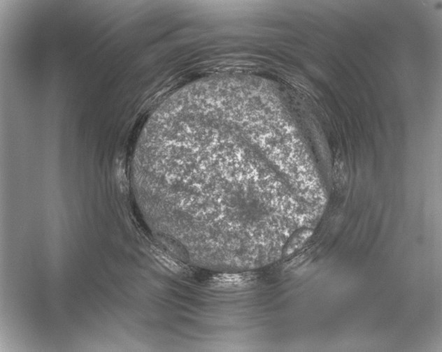 X0000055980381200509162232