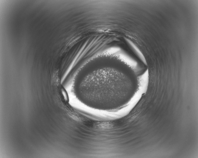 X0000055980383200509162232