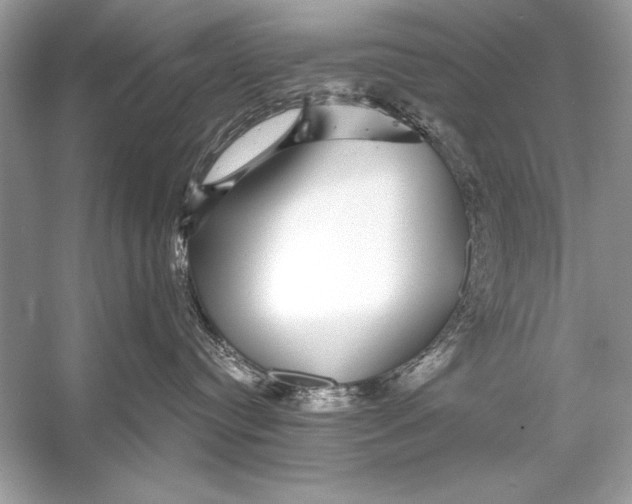 X0000055980384200509162232