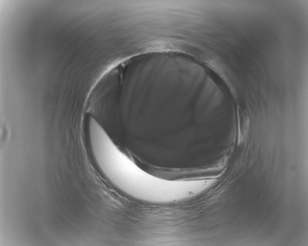 X0000055980387200509162231