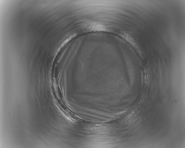 X0000055980390200509162231