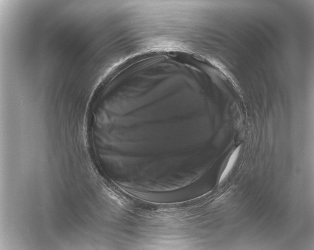 X0000055980391200509162231