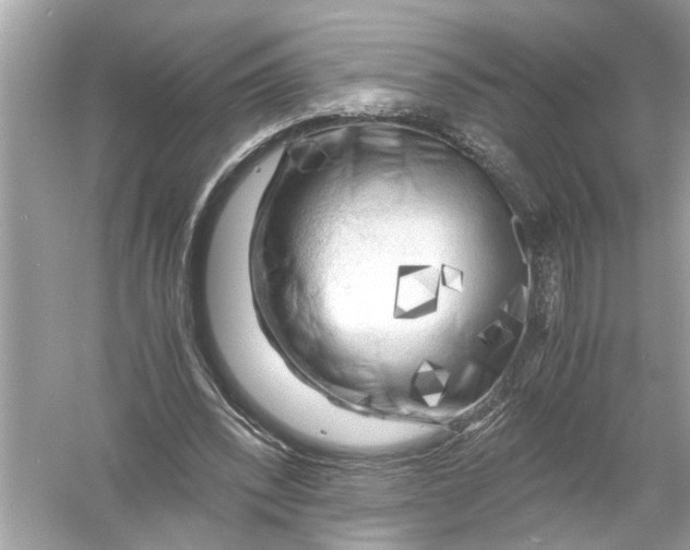 X0000055980392200509162231