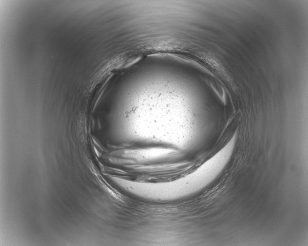 X0000055980397200509162231