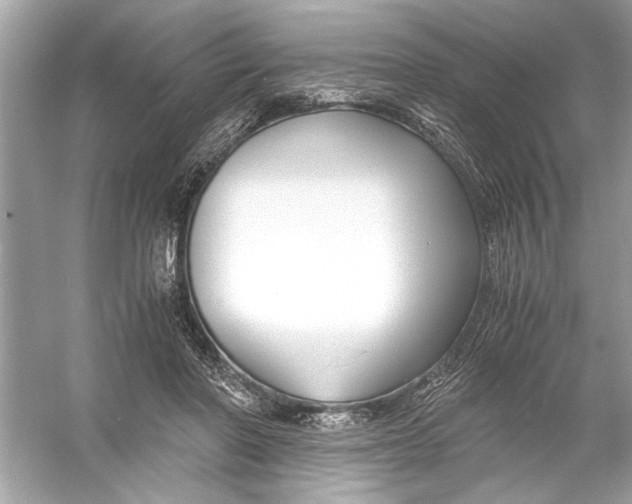 X0000055980406200509162230