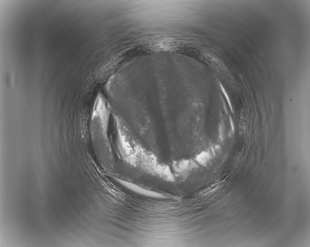 X0000055980409200509162230