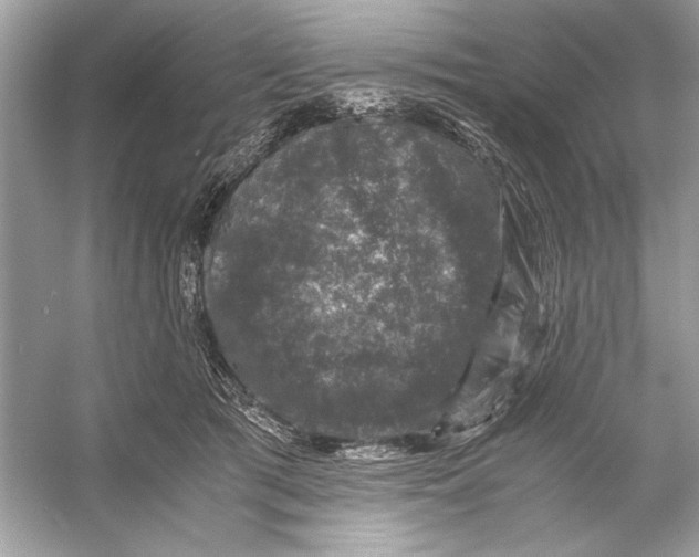 X0000055980417200509162230