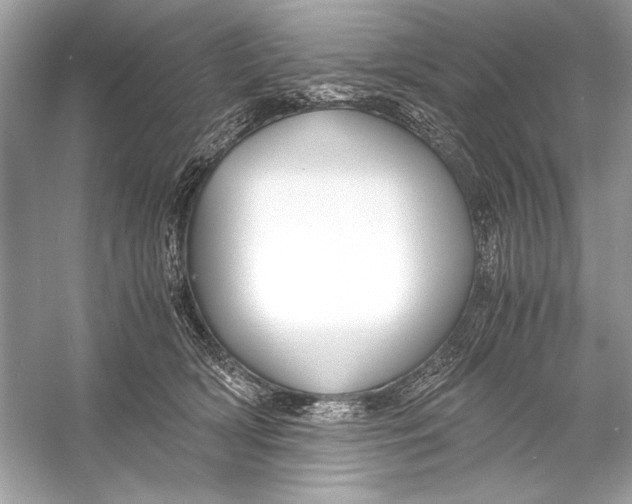 X0000055980418200509162230