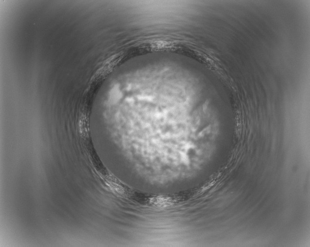 X0000055980419200509162230