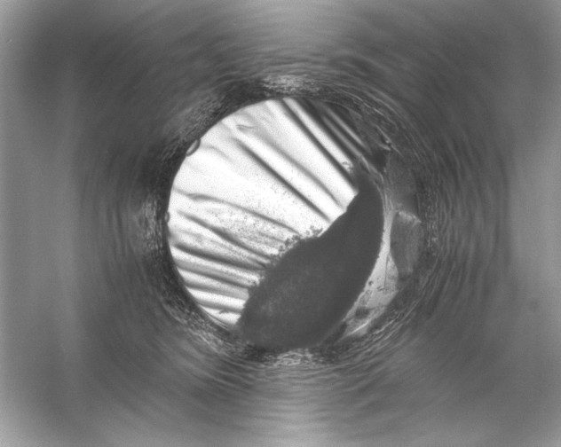 X0000055980420200509162230