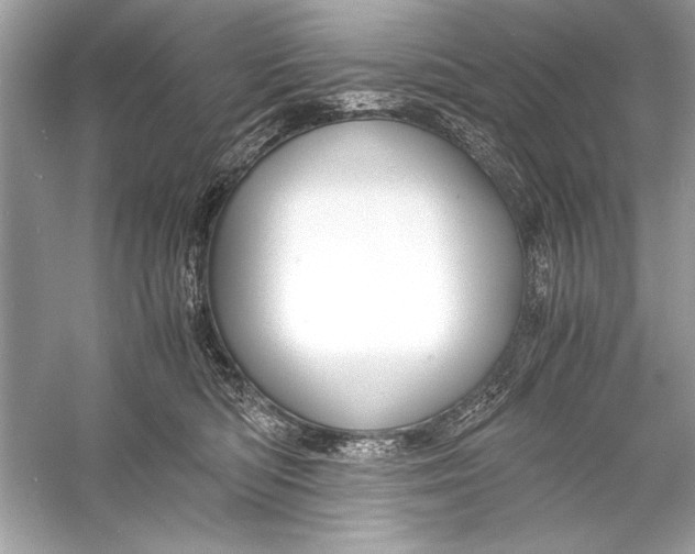 X0000055980422200509162230