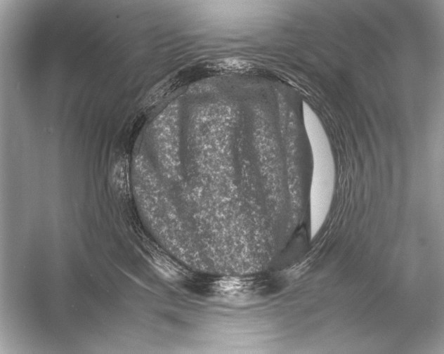 X0000055980425200509162230