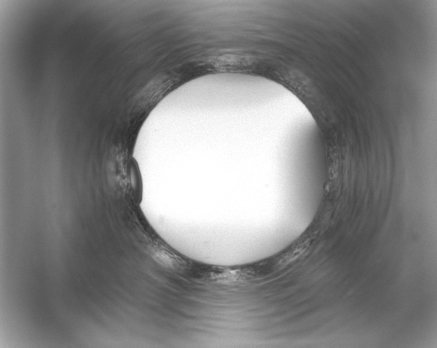 X0000055980430200509162230