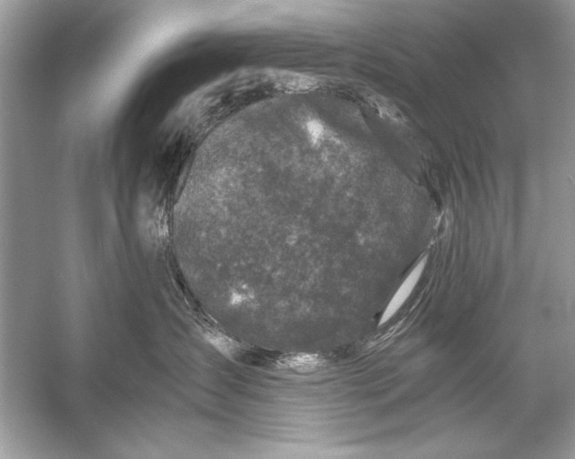 X0000055980431200509162230