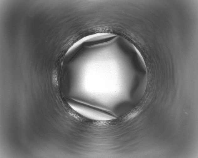 X0000055980432200509162230