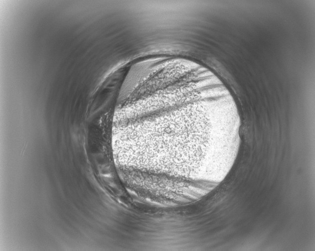 X0000055980434200509162229